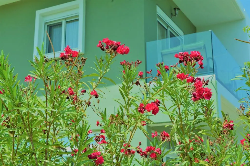 General view, Anelia Boutique Studios & Apartments, Rhodes