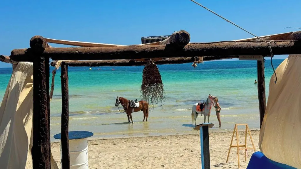 Restaurant, Dar El Bhar, Tunisia