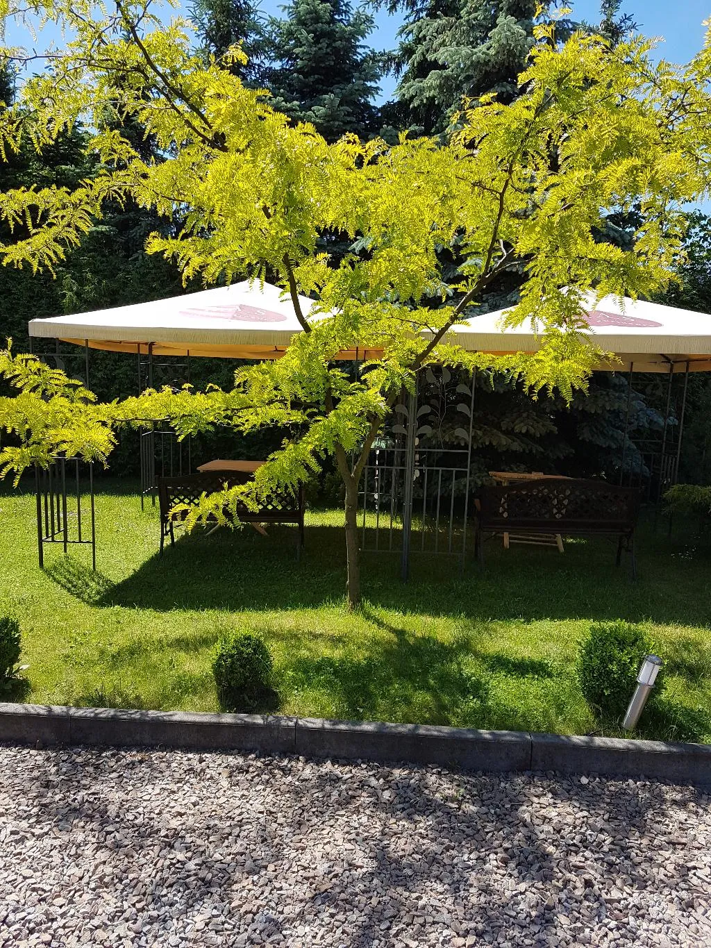 Terrace, Hotel B.A.S. Villa Residence, Krakow
