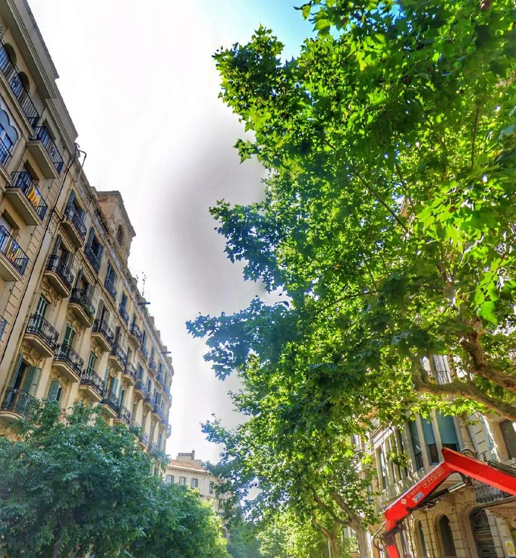 General view, Casa Maca Guest House, Barcelona