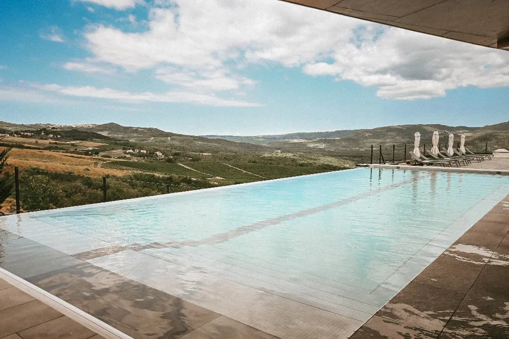 Pool, ROXANICH Winery and Design Hotel, Istria