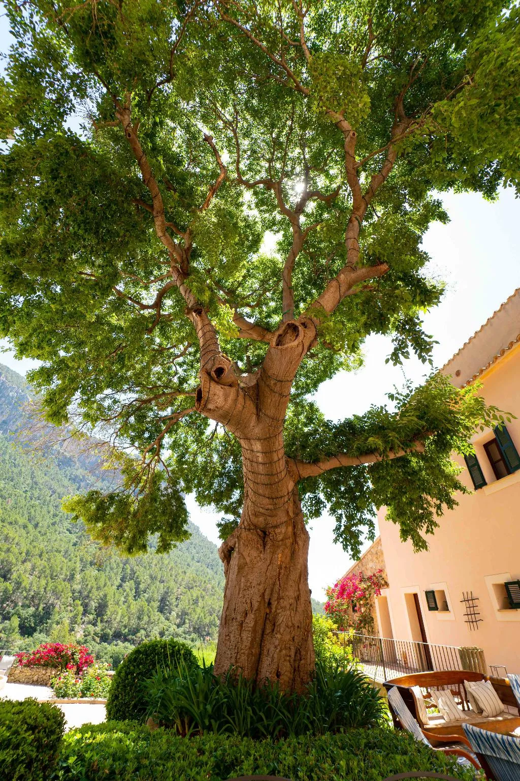 General view, Hotel Rural S'Olivaret, Majorca