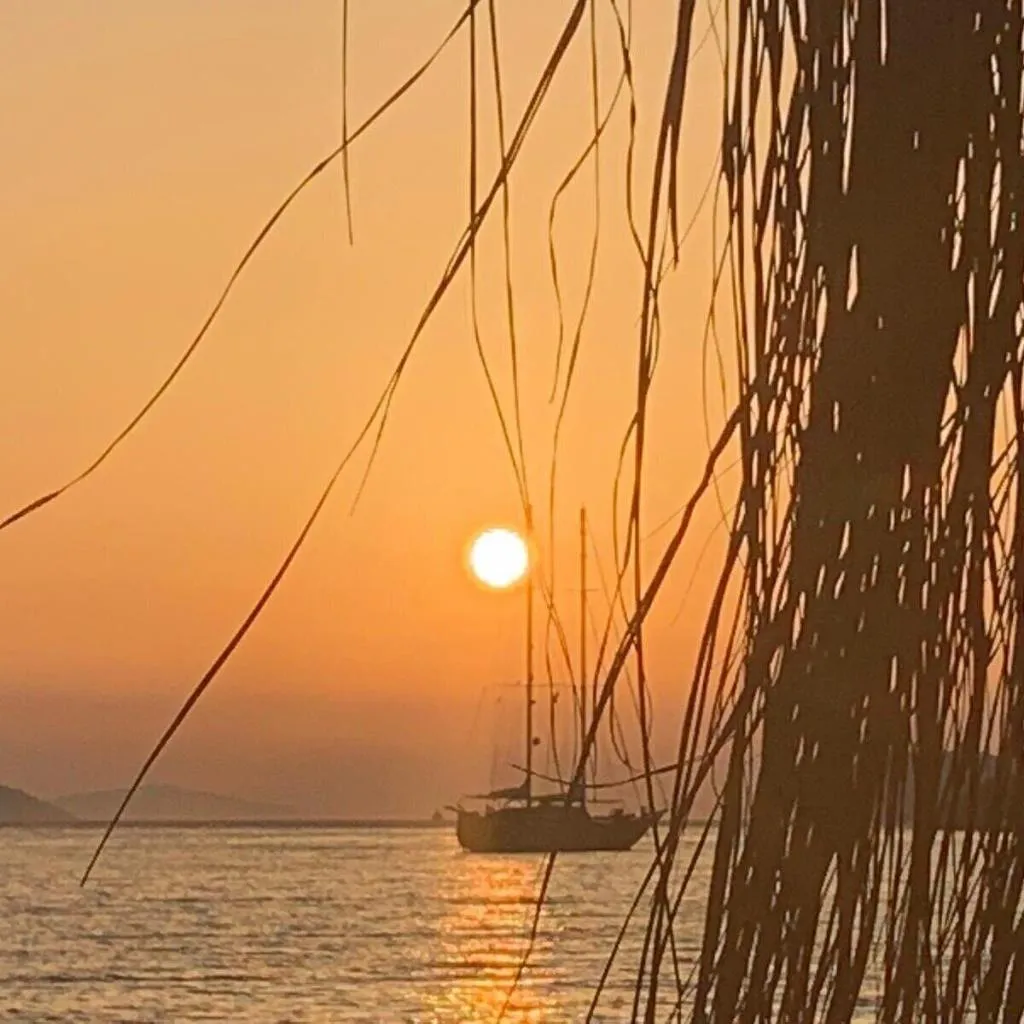 Beach, Pitos Bungalows, Bodrum