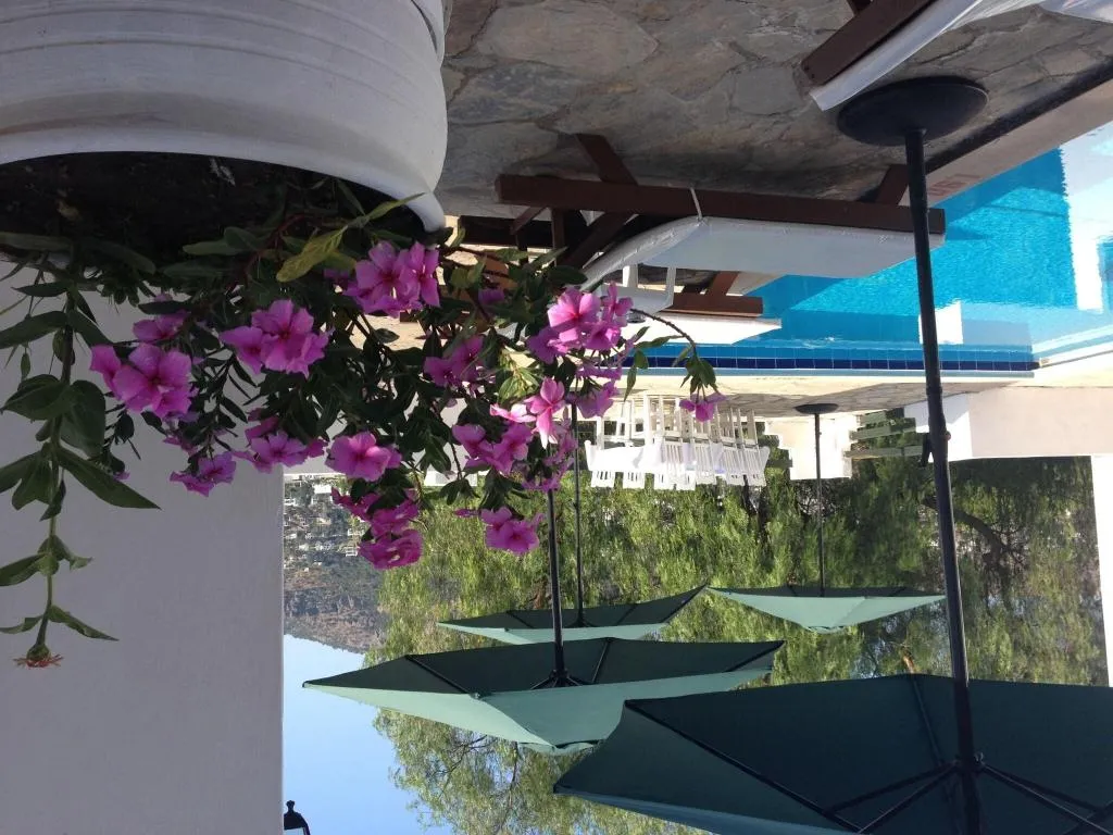 Pool, Panorama Hotel Bodrum, Bodrum