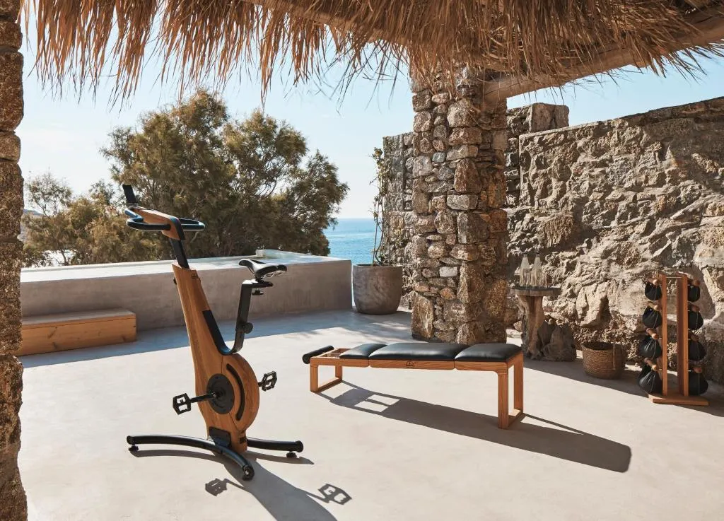 General view, The Wild By Interni, Mykonos