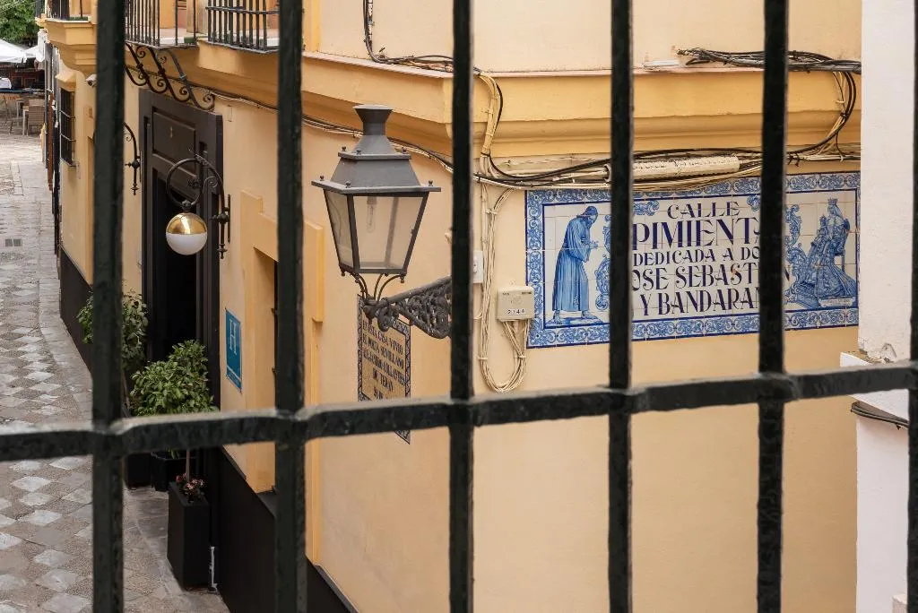 DOUBLE STANDARD Room, Hotel Boutique Elvira Plaza, Seville
