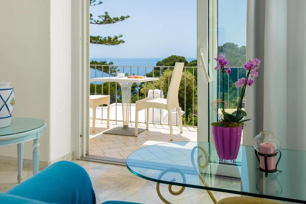 Double or Twin DELUXE SUPERIOR Room, La Floridiana, Naples
