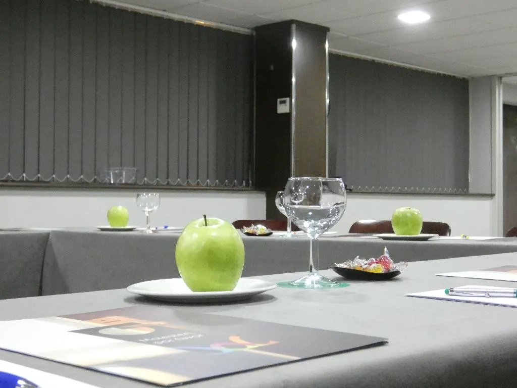 Conferences, Hotel Chamartin the One, Madrid