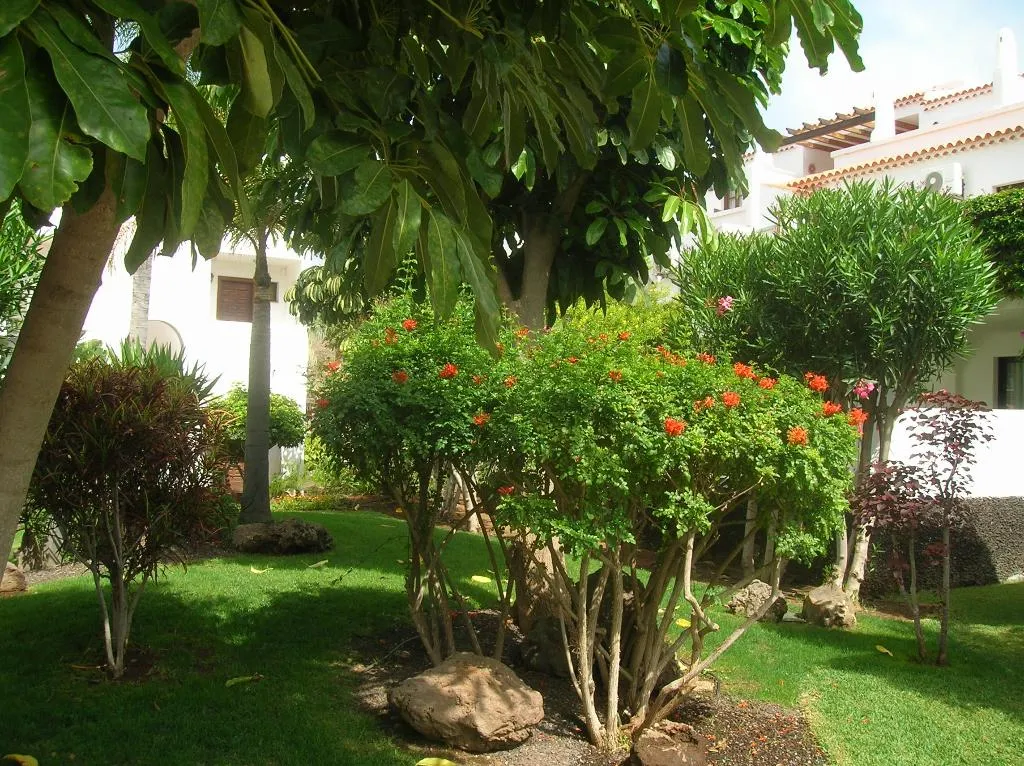 General view, Fairways Club, Tenerife