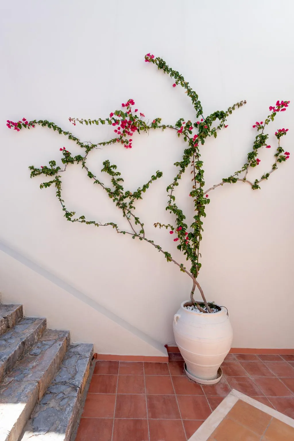 General view, Minois Boutique Hotel, Crete