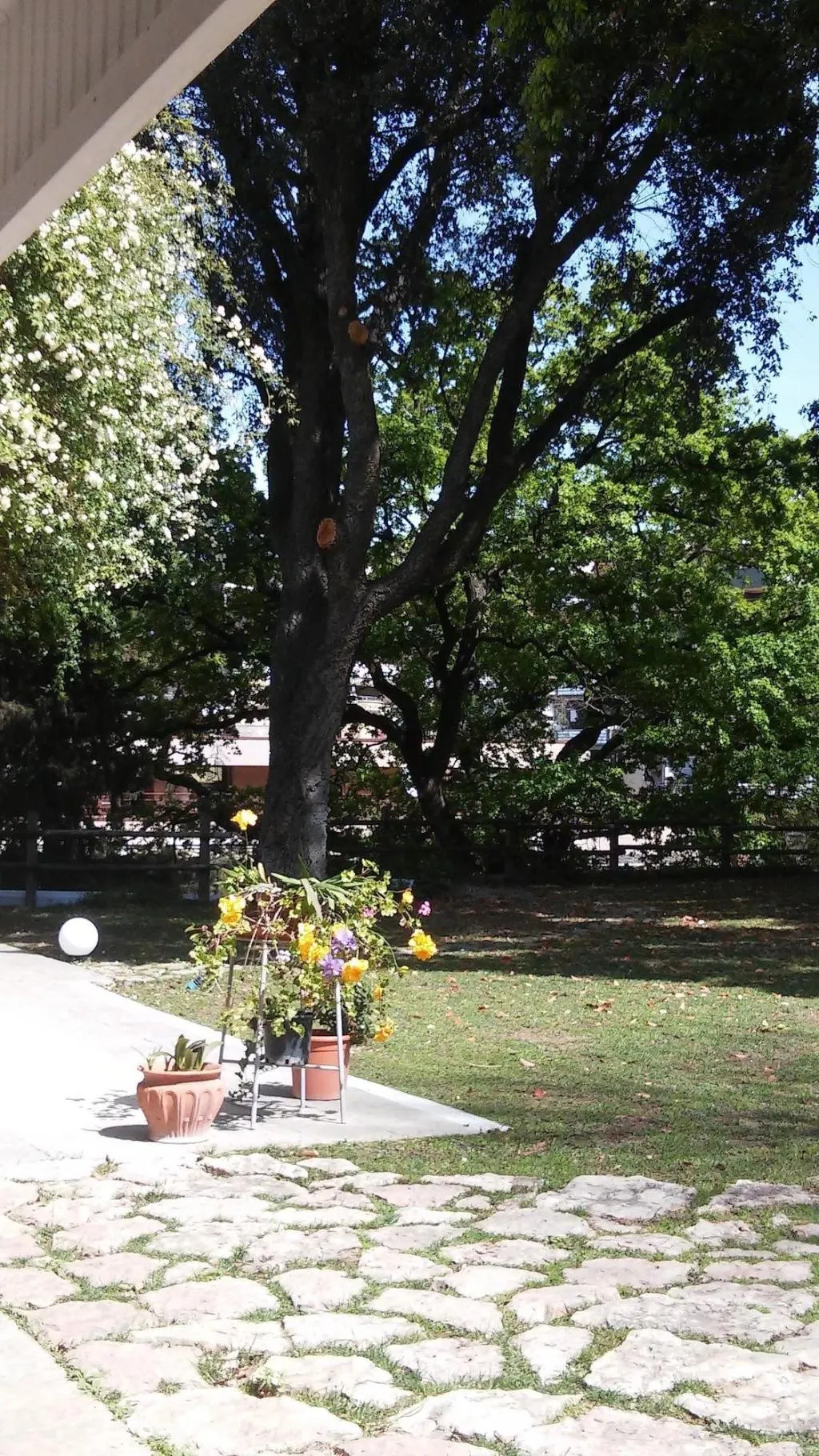 General view, Relais La Canfora, Rome