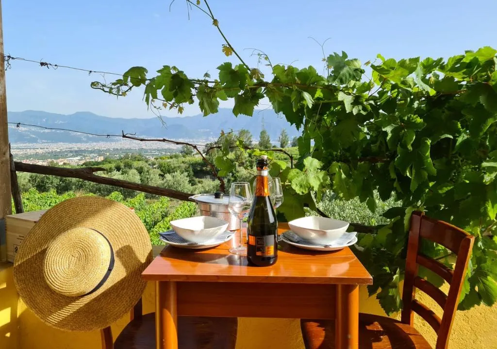 Terrace, Vesuvio Inn Bed & Wine Experience, Naples