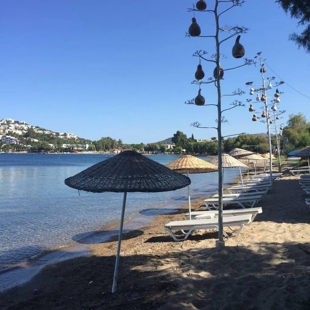 Beach, Pitos Bungalows, Bodrum