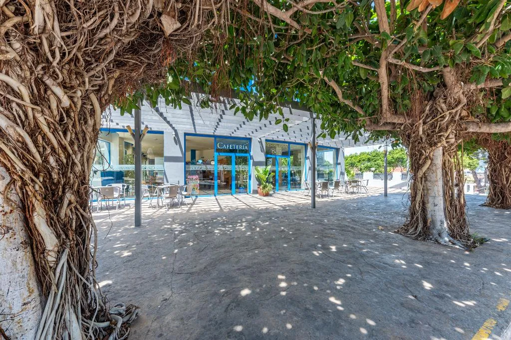 Bar, Rober Palas, Costa Blanca