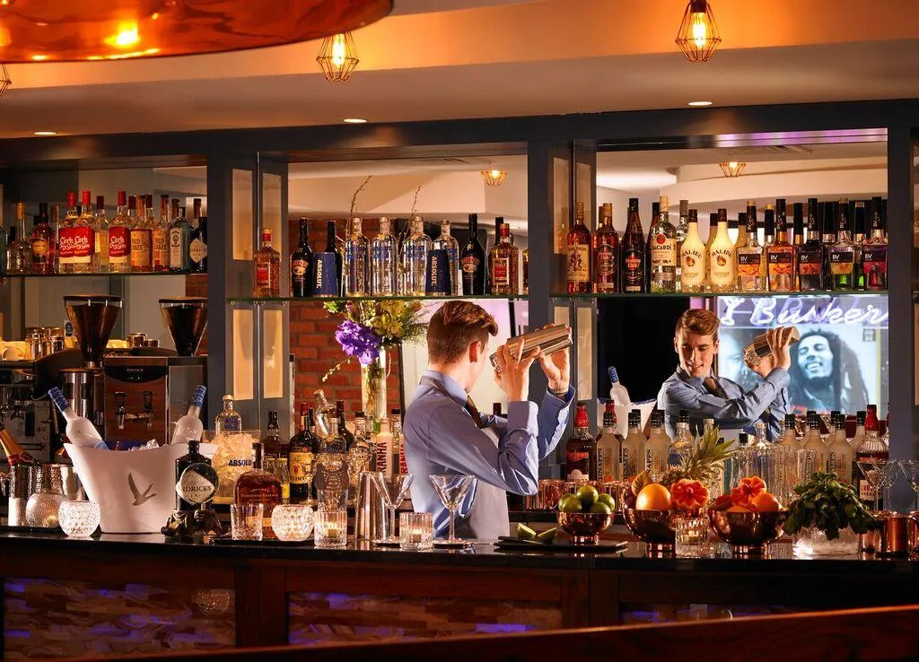 Bar, Temple Bar Hotel by the Unlimited Collection, Dublin