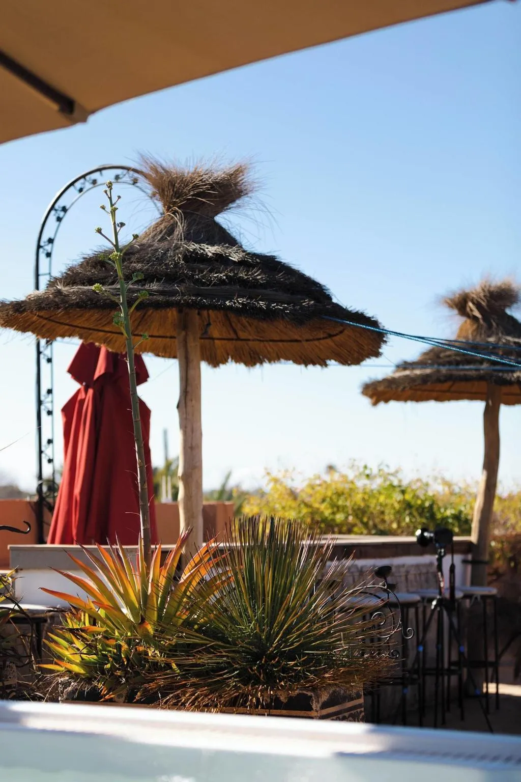 Room, Eden Lodges, Marrakech
