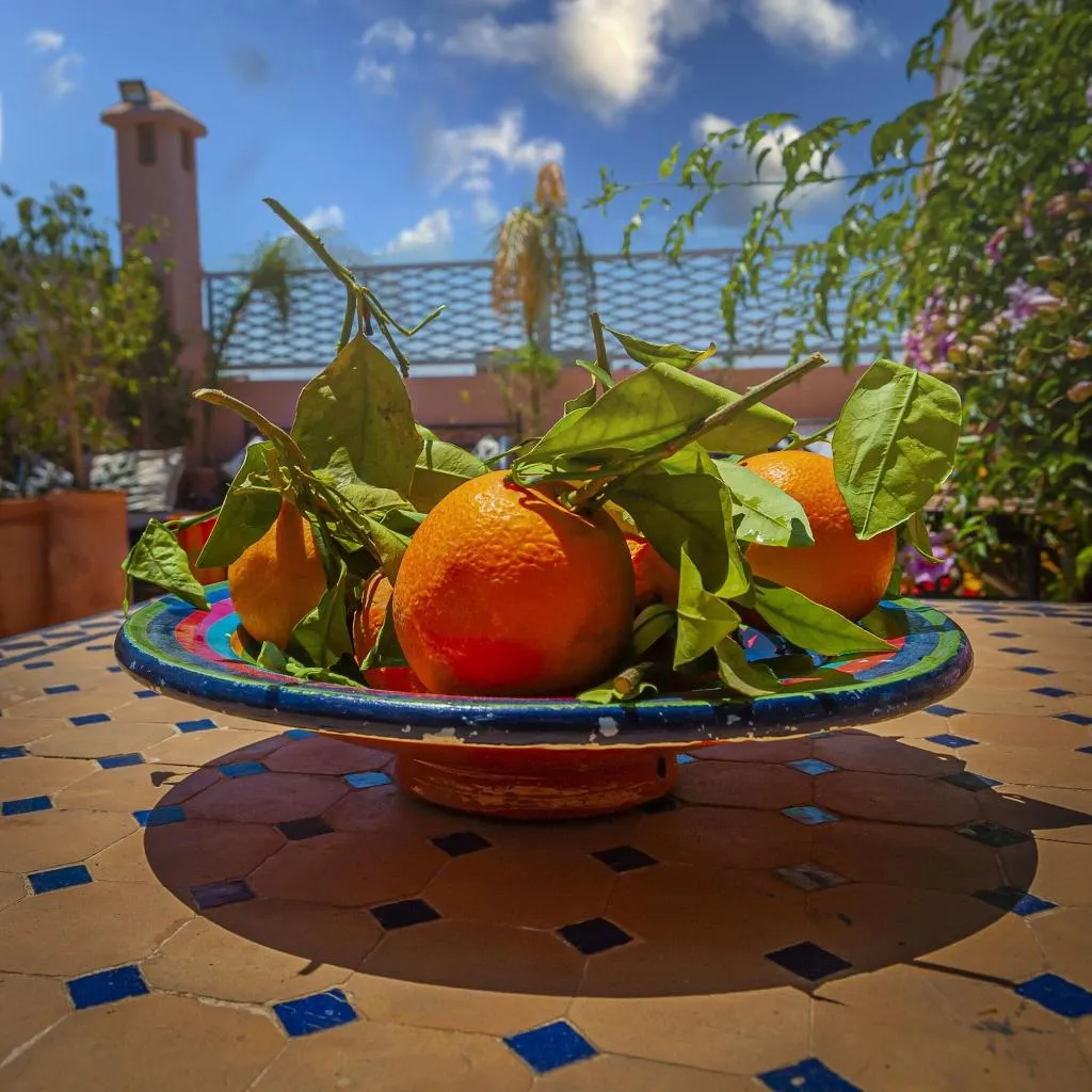 Terrace, Riad Dar Mamouni, Marrakech