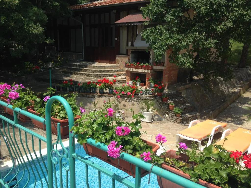 Pool, Zora, Bourgas