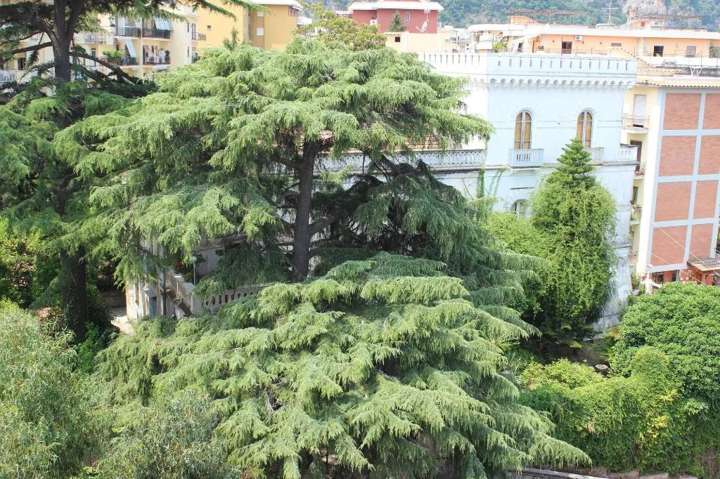 General view, Villa Manning Relais, Naples