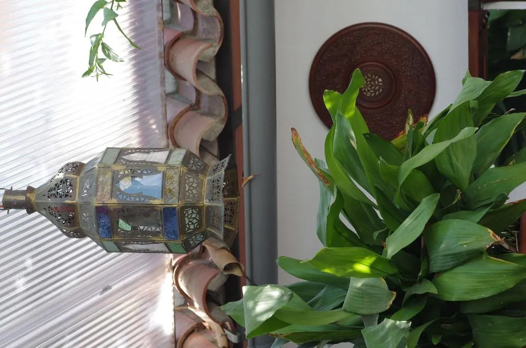 Lobby, Pension Aduar, Costa Del Sol