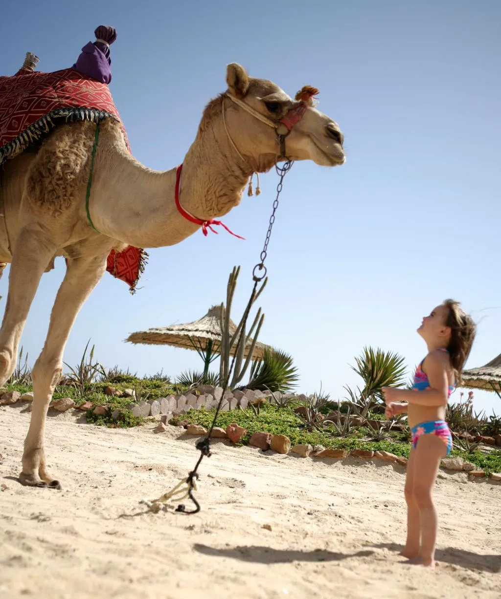 Beach, Flamenco Beach Resort, Red Sea Riviera