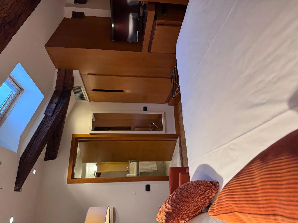 DOUBLE CAPACITY 2 Room, Ruzzini Palace, Venice