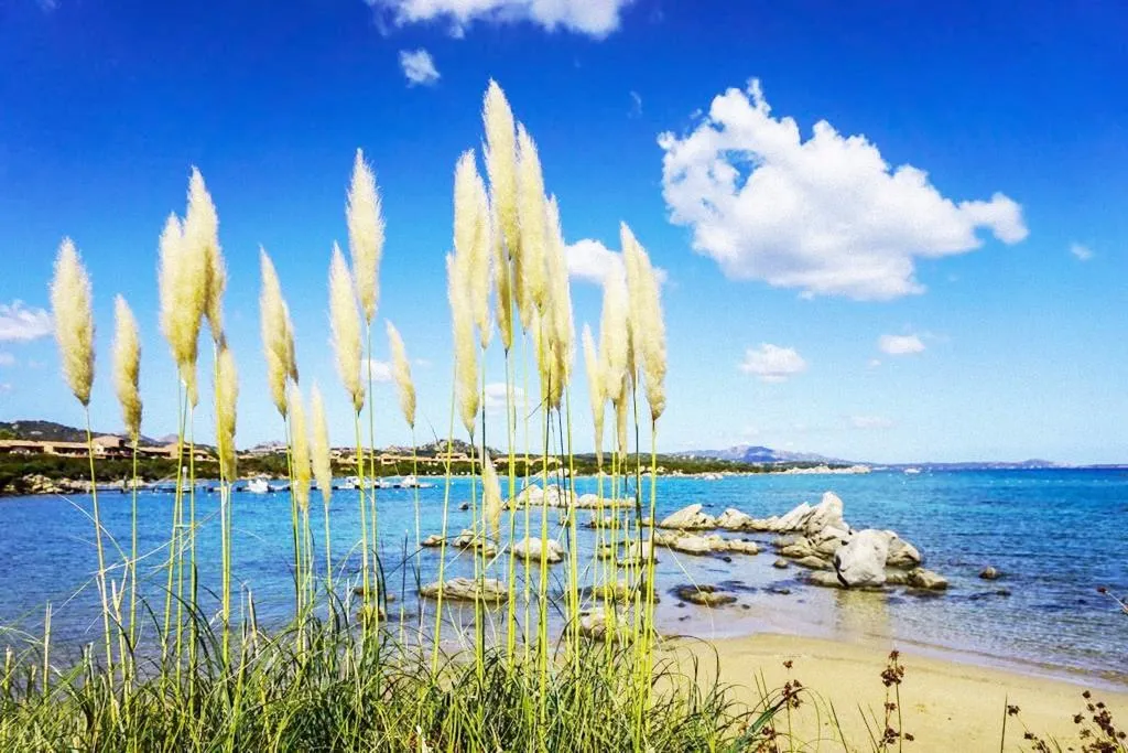 Beach, BAIA de BAHAS - Apartments, Olbia