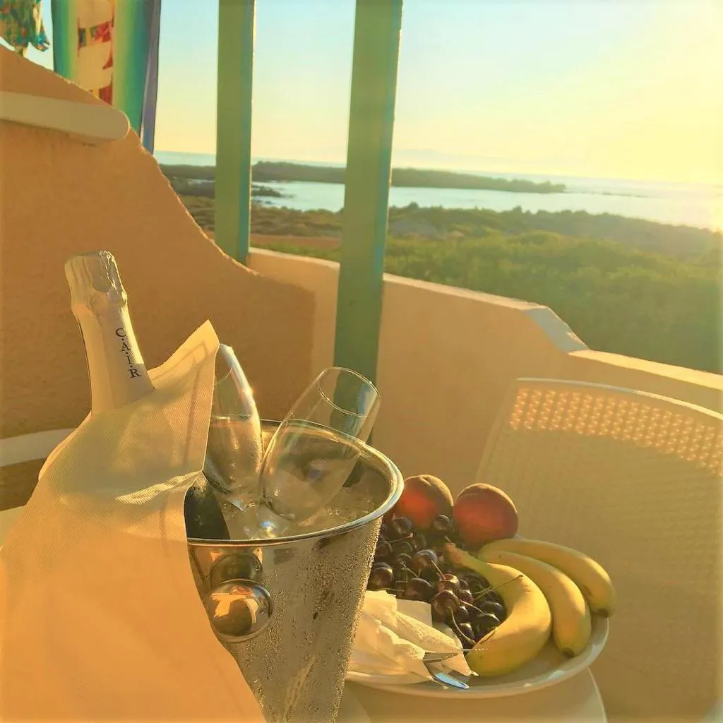 STUDIO STANDARD Room, Zorbas Hotel Beach Village, Crete