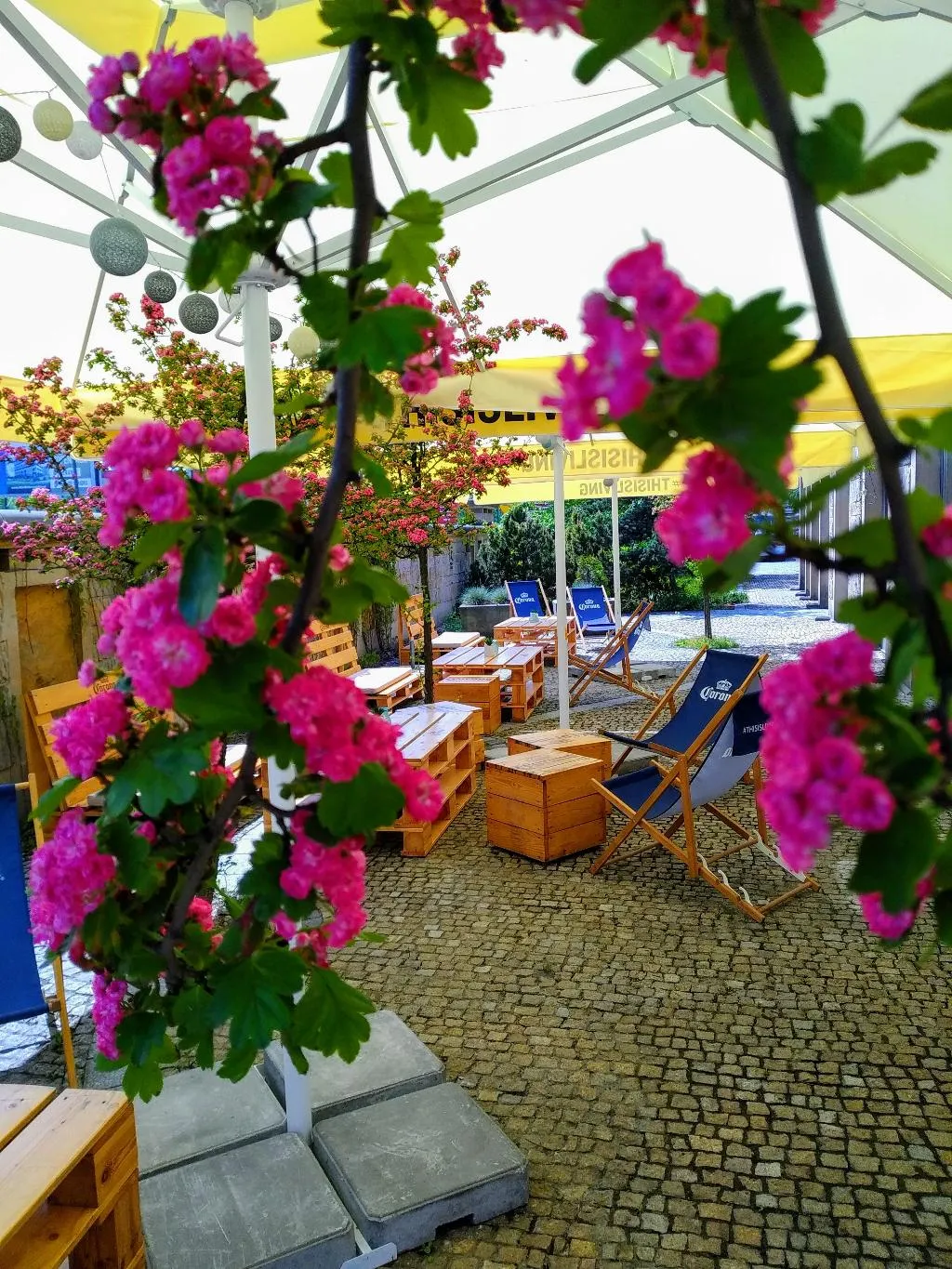 Terrace, Sympozjum Hotel & Spa, Krakow
