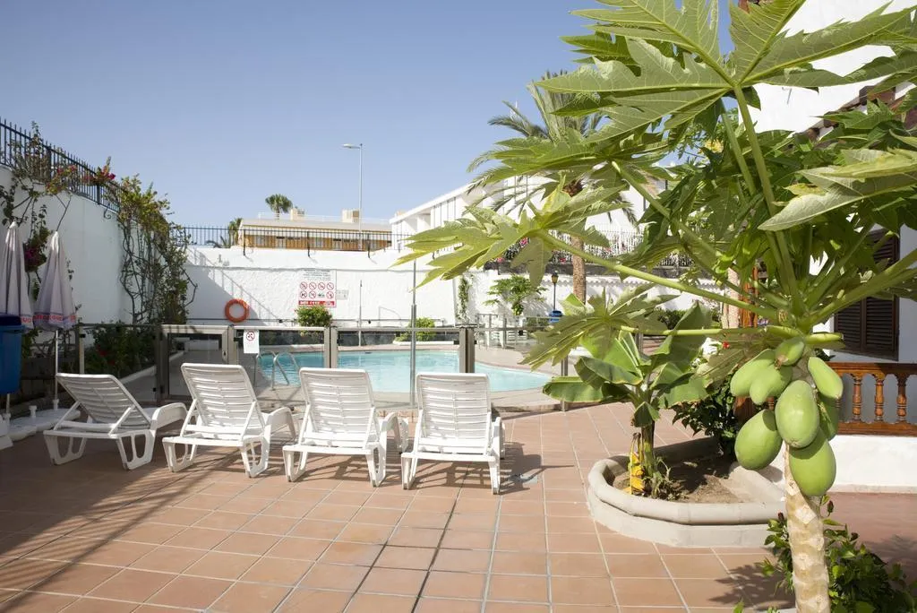 General view, Las Orquideas, Gran Canaria