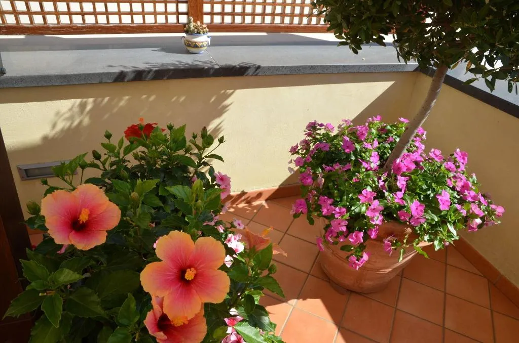 Terrace, Villa Maria, Naples