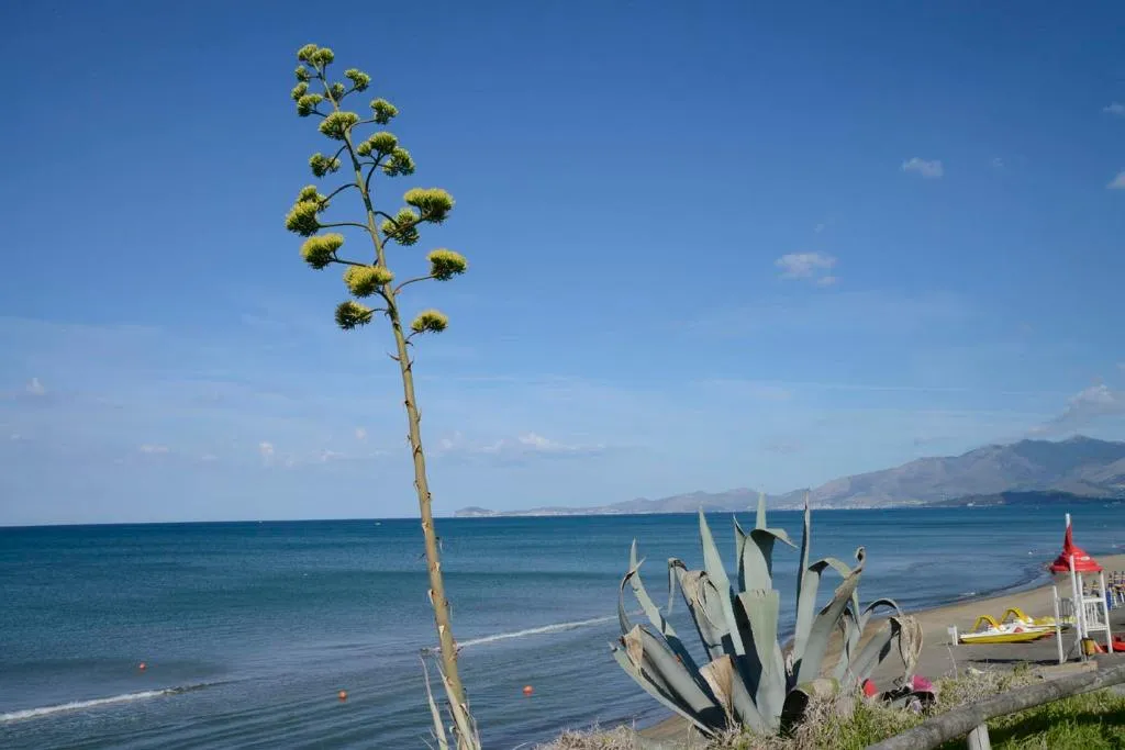 Beach, Baia Domizia Camping Village, Naples