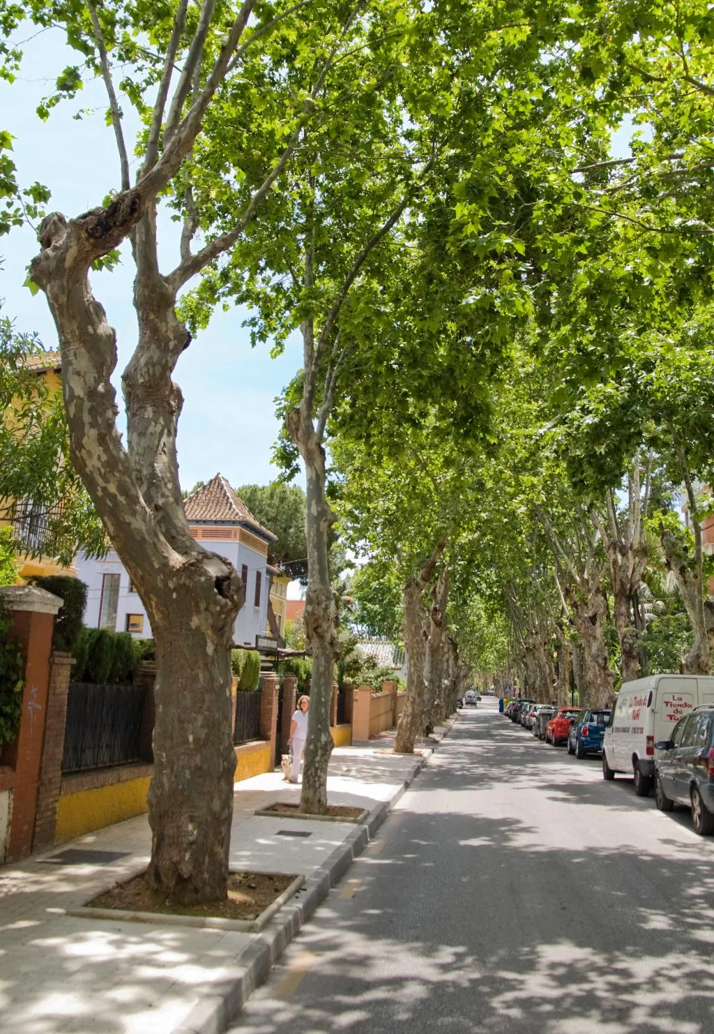 General view, Villa Lorena, Costa Del Sol