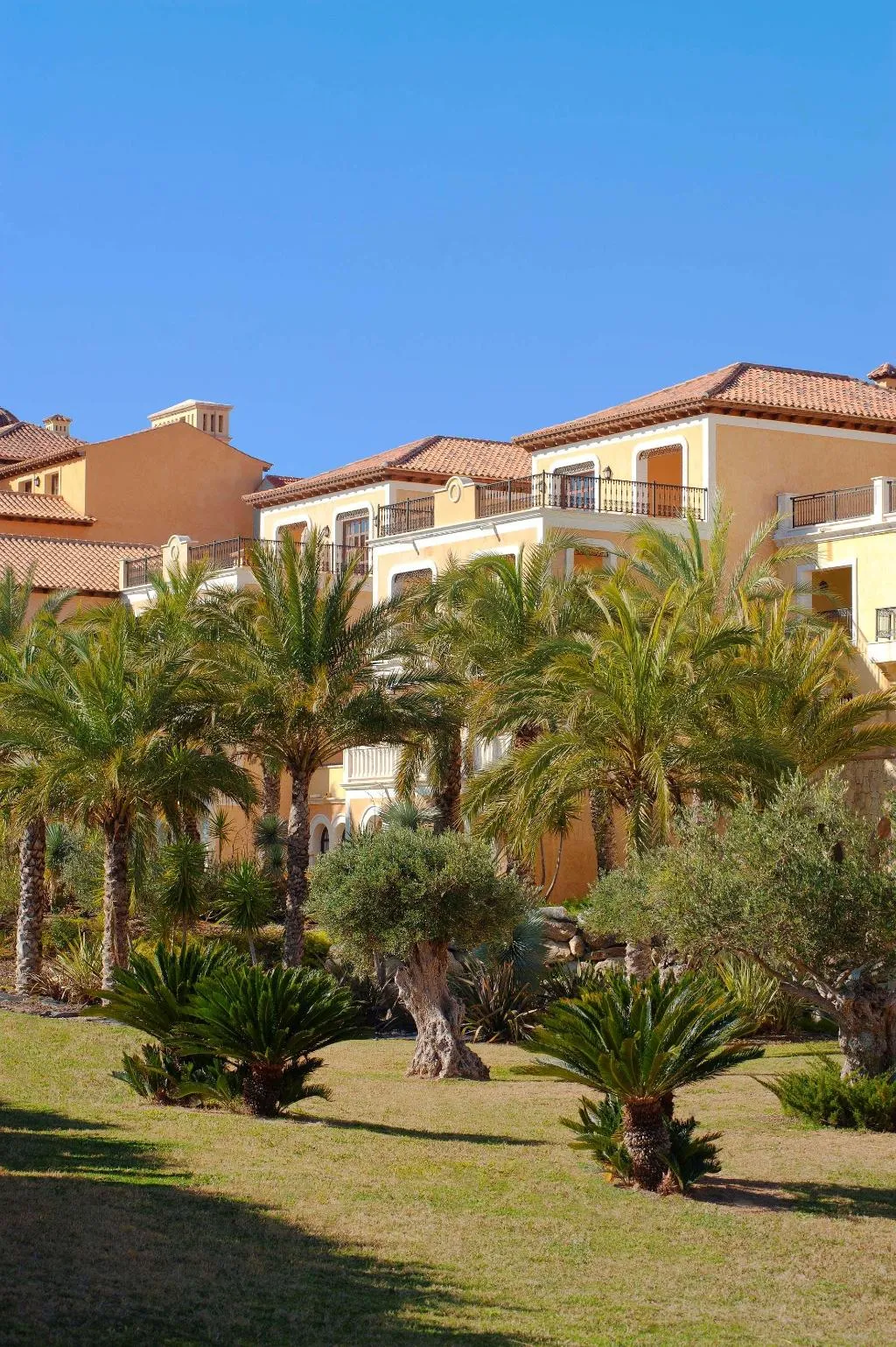 General view, Melia Villaitana, Costa Blanca