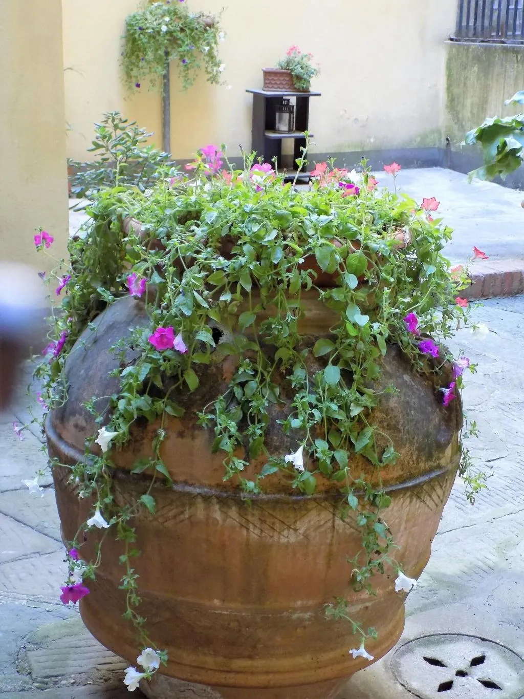 Terrace, Il Pitti Soggiorno, Florence