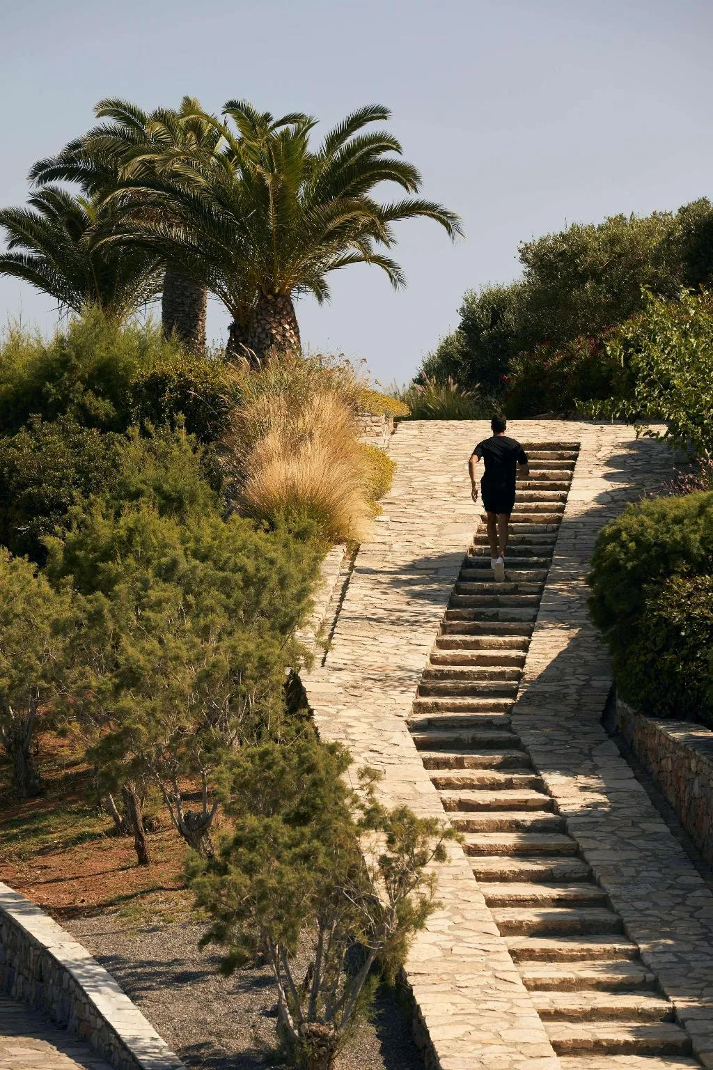 Sports and Entertainment, Minos Palace Resort, Crete