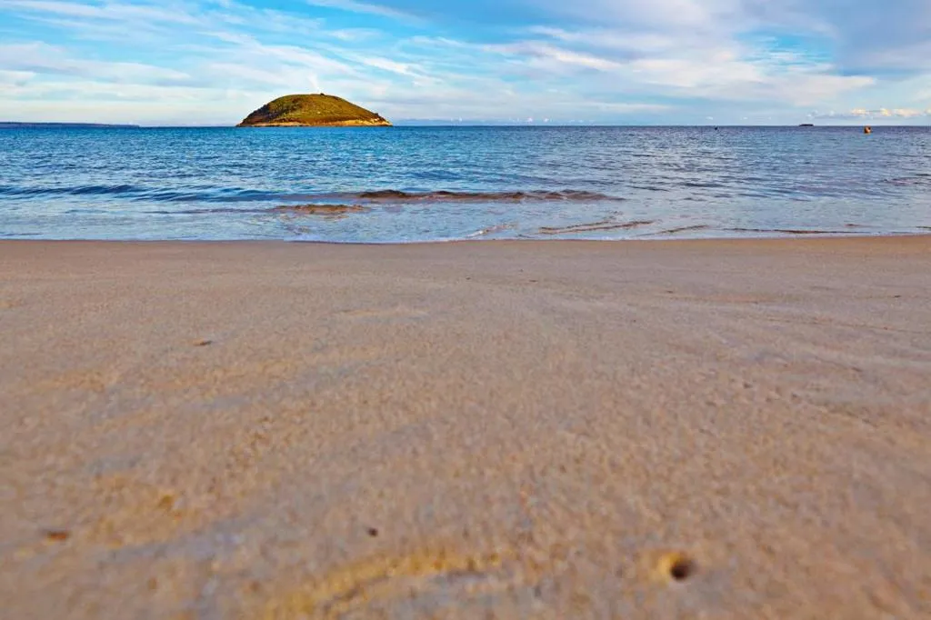 Beach, Flamboyan - Caribe, Majorca
