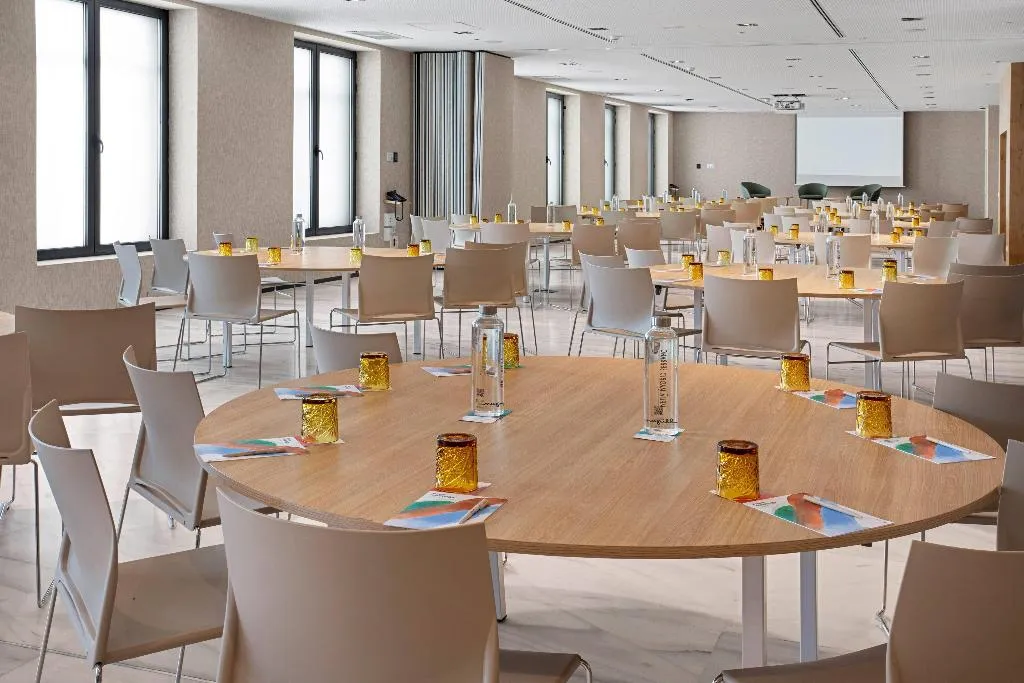Conferences, Melia Madrid Serrano, Madrid