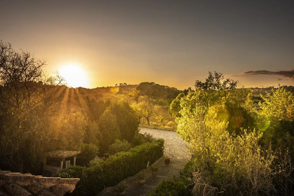 General view, Aumallia Hotel & Spa, Majorca