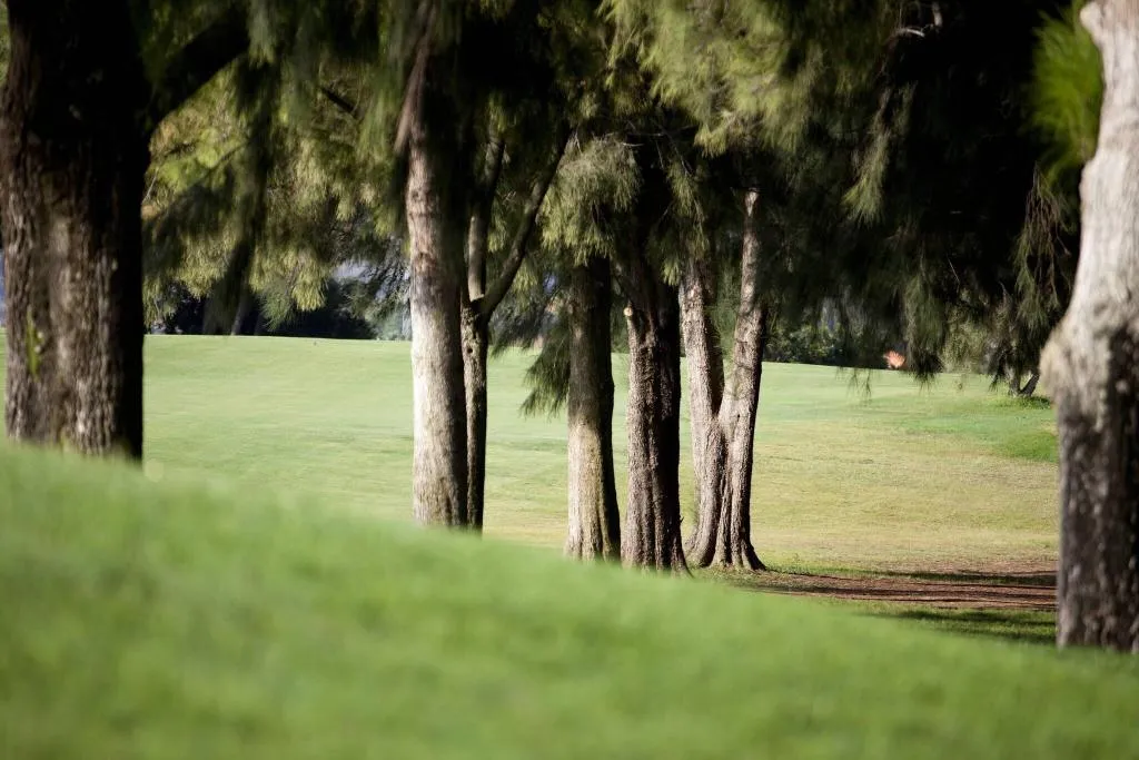 Sports and Entertainment, Denia Marriott La Sella Golf Resort & Spa, Costa Blanca
