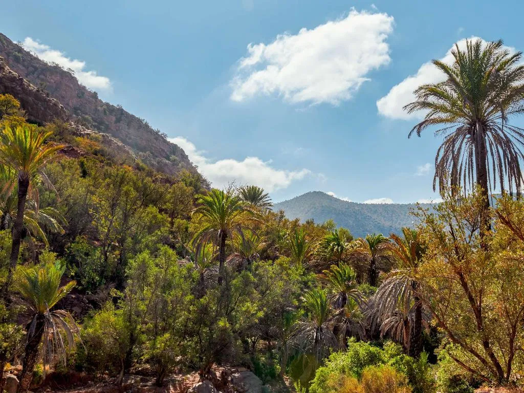General view, Fairmont Taghazout Bay, Agadir