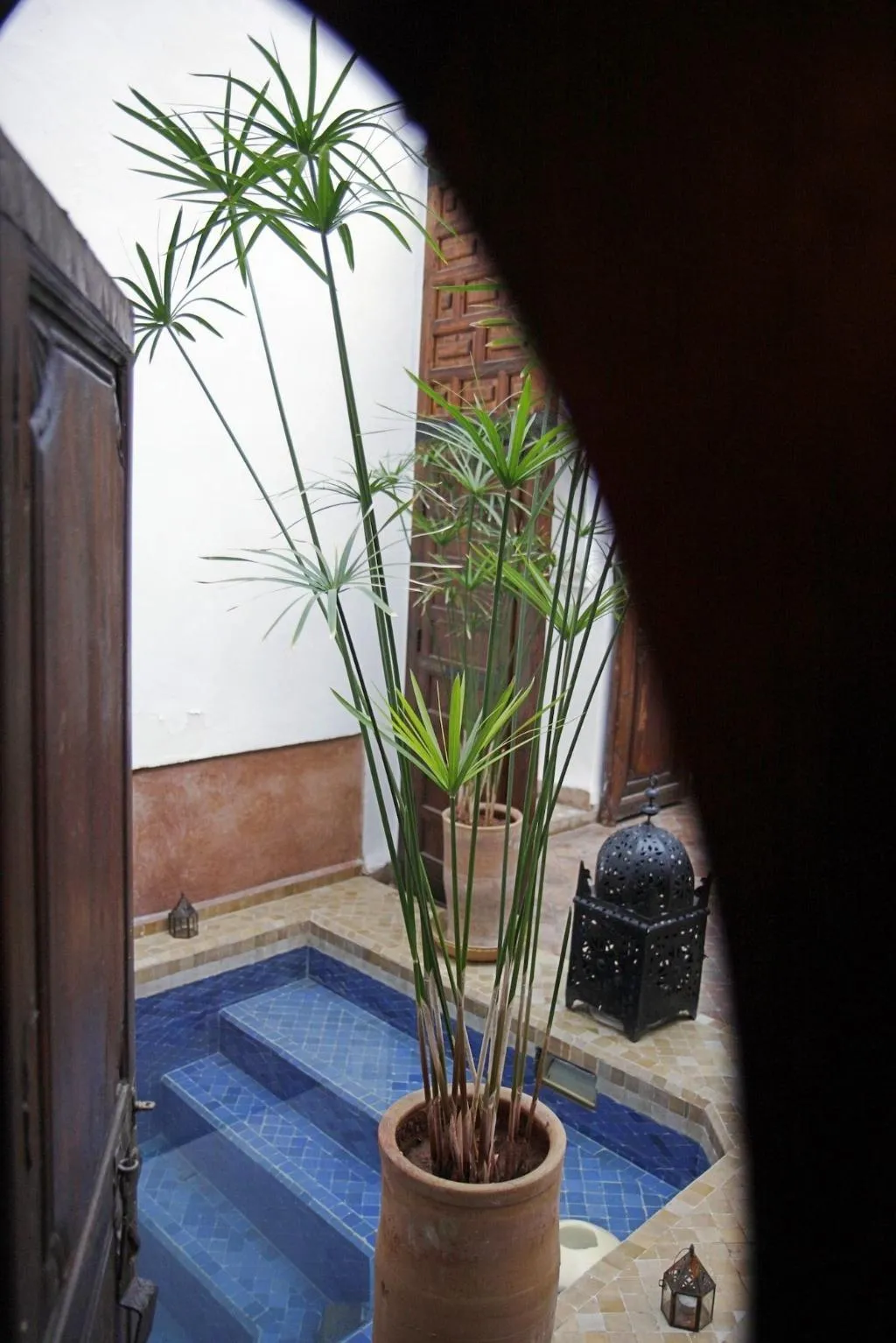 Sports and Entertainment, Riad Elixir, Marrakech
