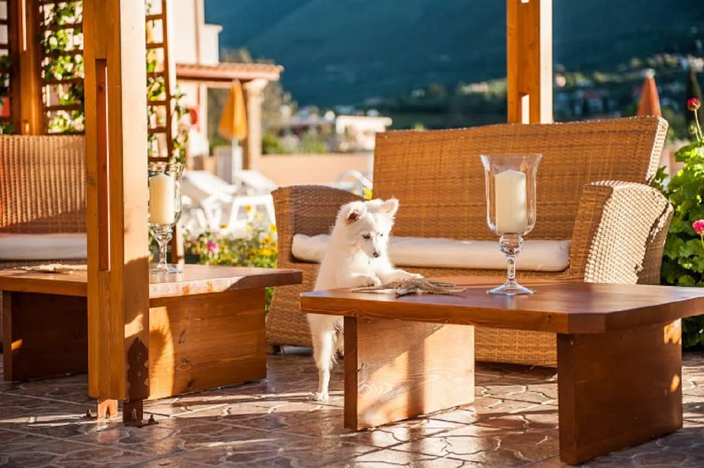 Terrace, Clio Aparthotel, Zante