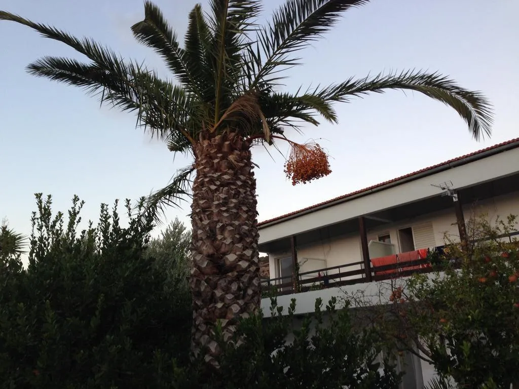 General view, Sunningdale Hotel, Crete