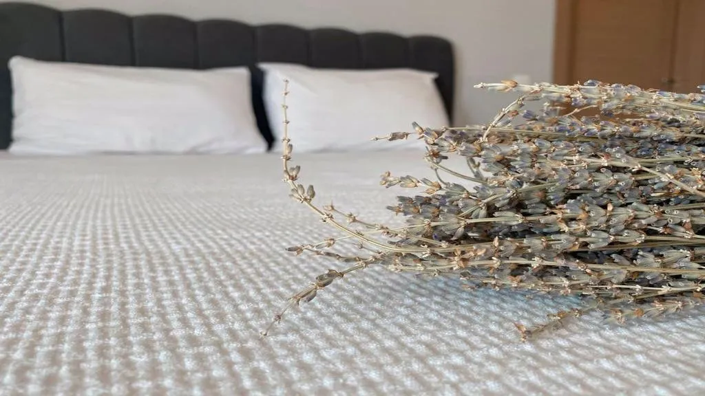 Room, Zeynel  Hotel, Antalya