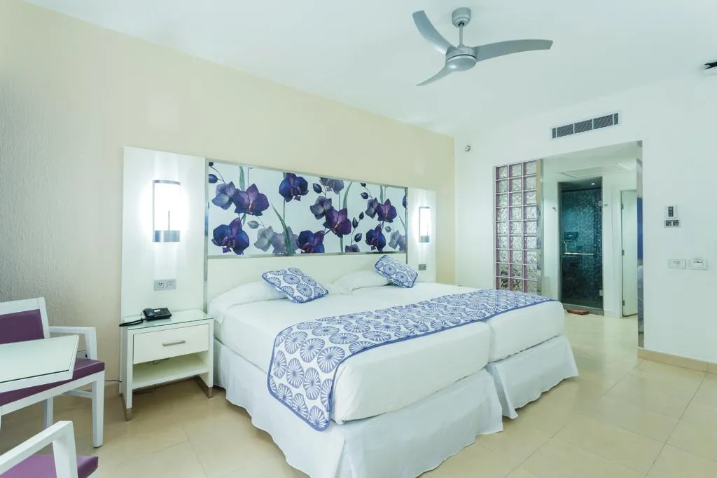 DOUBLE STANDARD Room, Riu Playacar - All Inclusive, Cancun Area