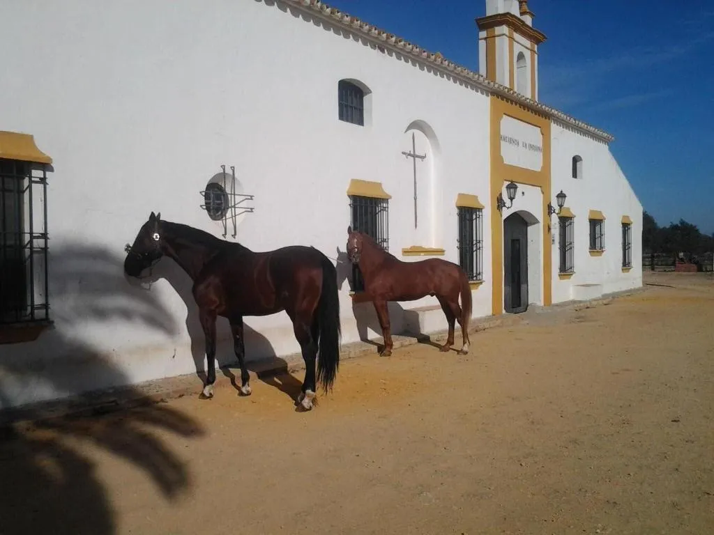 General view, Hacienda la Indiana, Andalucia