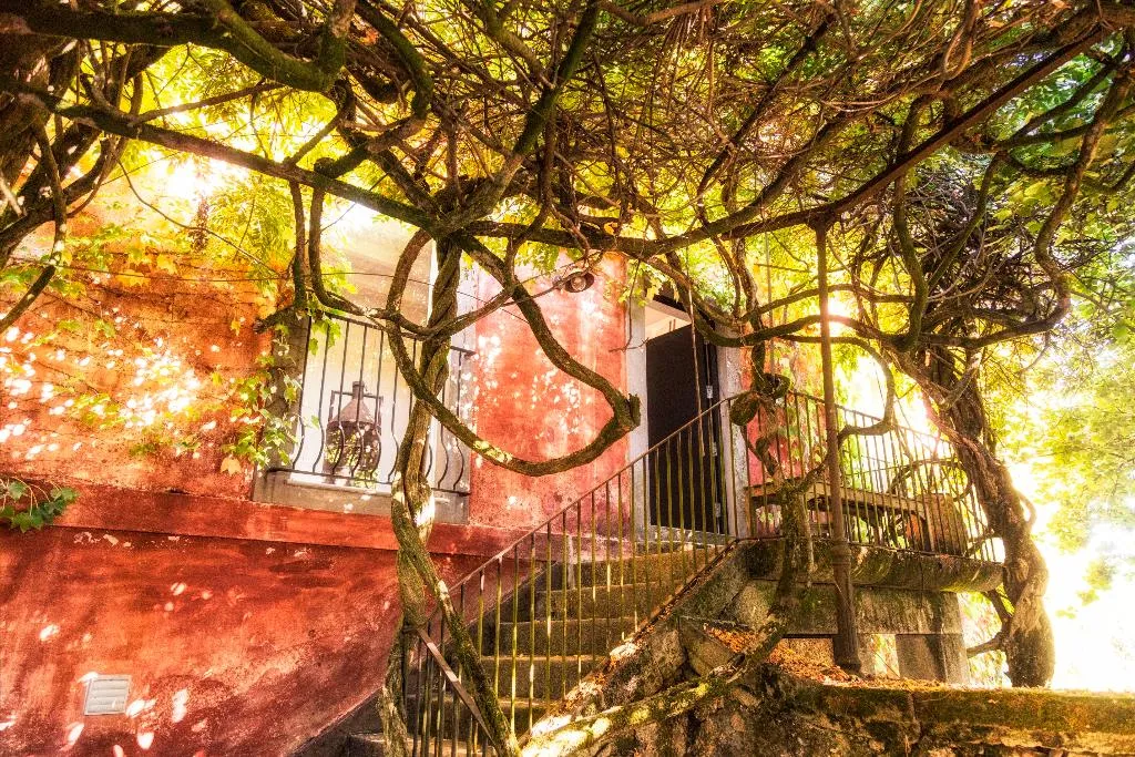 General view, Quinta Do Ameal - Wine & Tourism, Porto