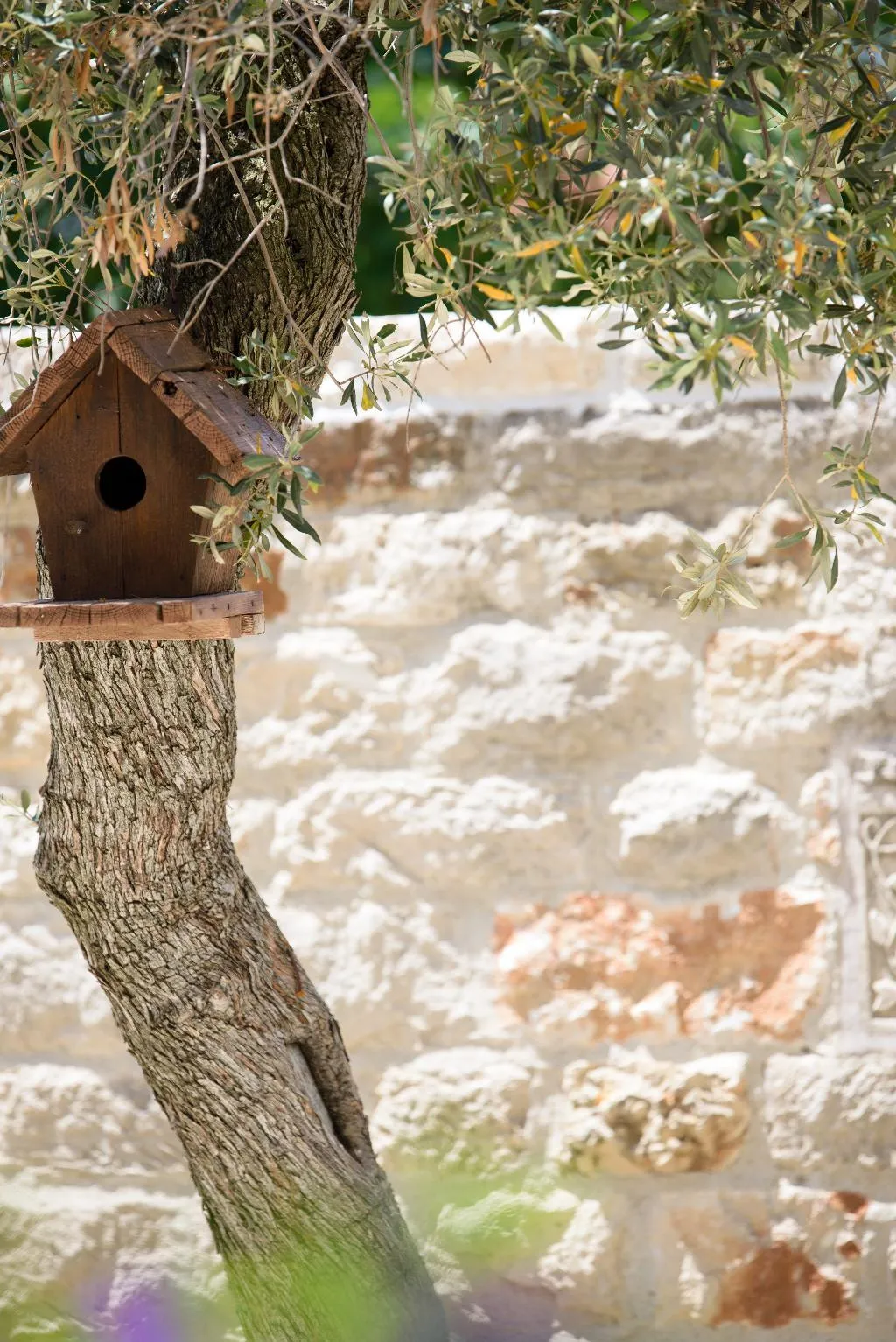 Terrace, Achtis Hotel, Halkidiki