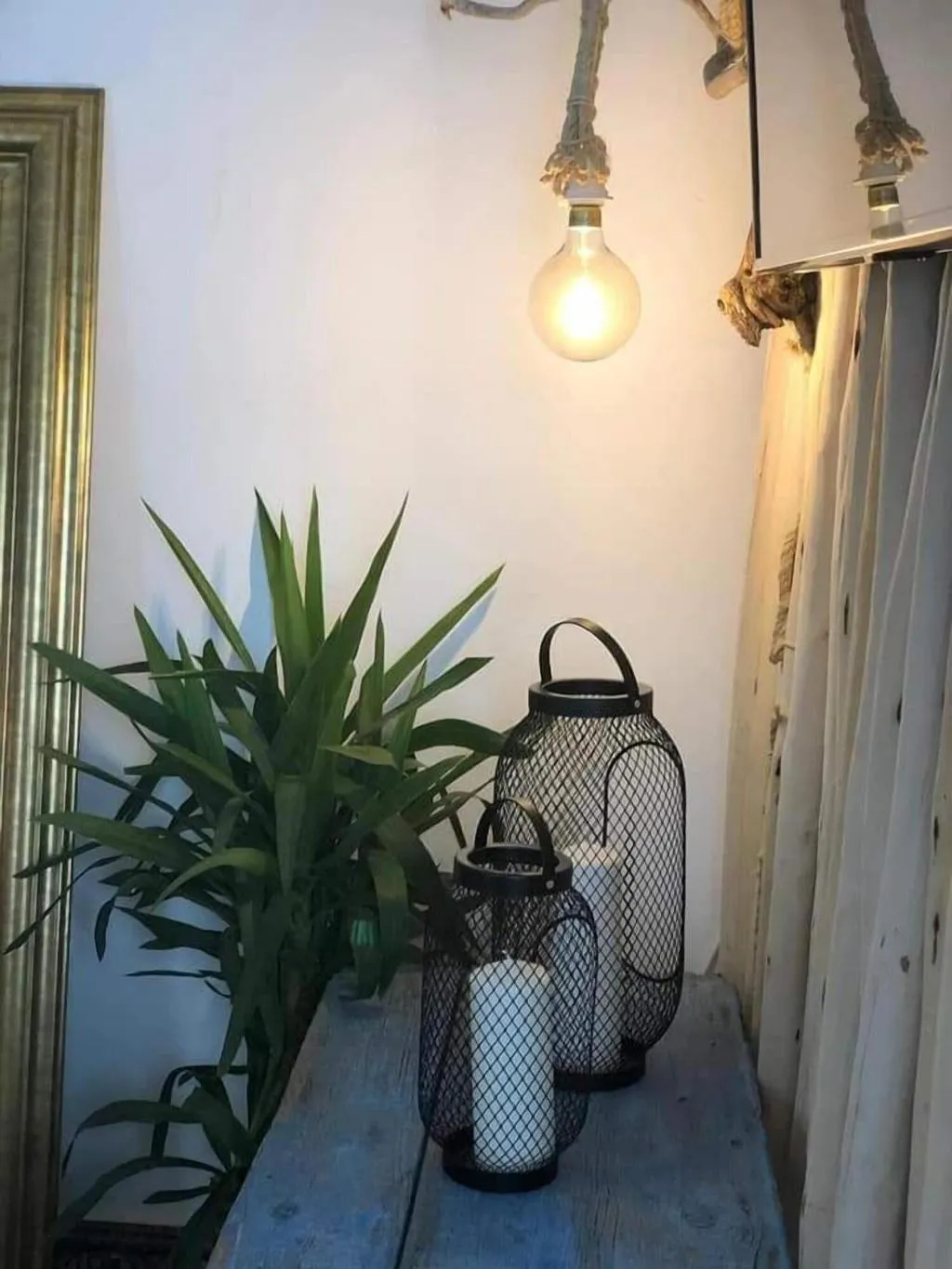 Room, Cactus Host, Gran Canaria